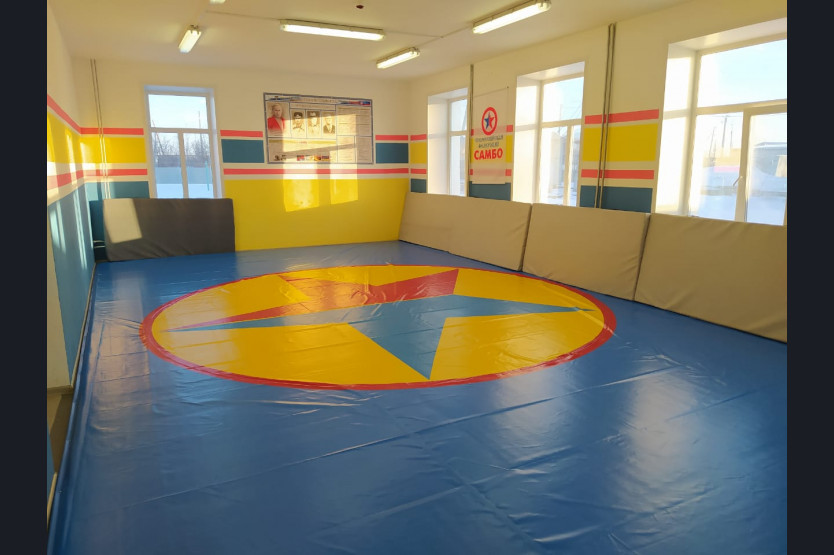 Оборудование спортзала самбо